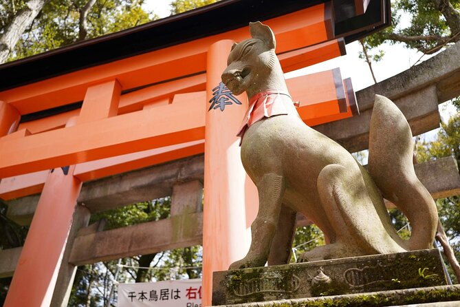 Kyoto and Nara Day Tour from Kyoto - Transportation, lunch, and group size
