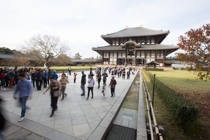 Kyoto and Nara Day Trip from Kyoto - Kasuga Shrine and lantern-lined paths