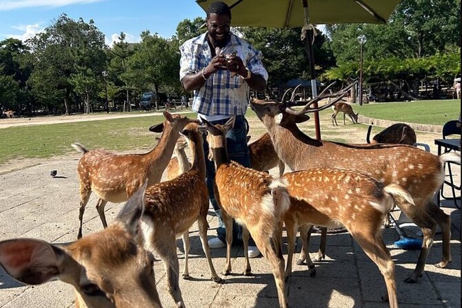 Kyoto and Nara Private Car Tour with a Local English Guide Driver - Key points to know before you book