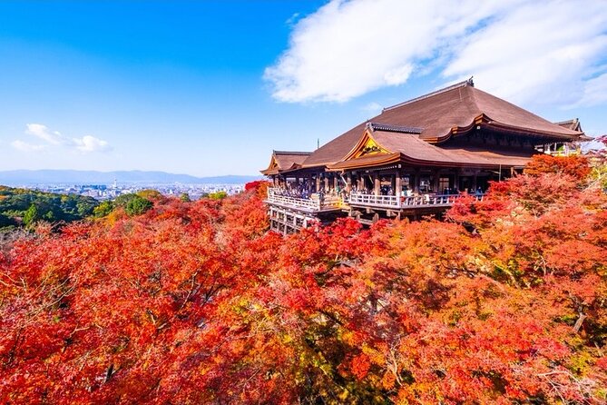 Kyoto and Nara Private Car Tour with a Local English Guide Driver - Gion, Kinkaku-ji, and the classic central Kyoto circuit