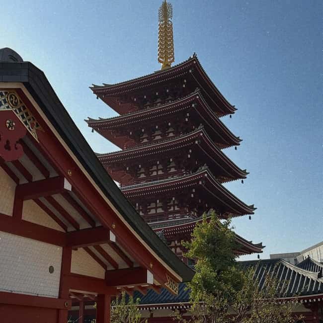 Kyoto and Nara: Private Customized Tour with Guide & vehicle - A very full day between Kyoto and Nara
