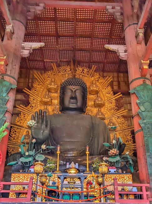 Kyoto and Nara: Private Customized Tour with Guide & vehicle - Arashiyama’s bamboo, bridge, and monkey park