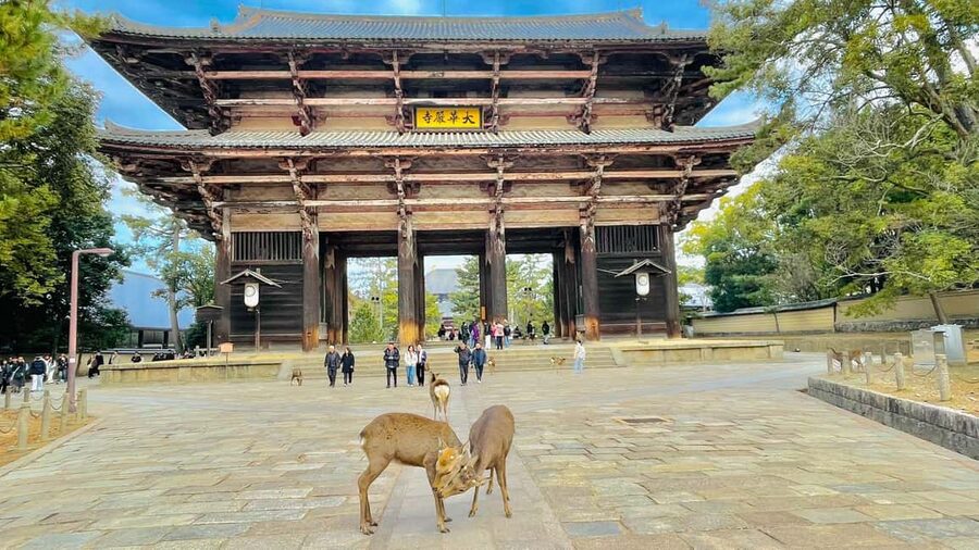 Kyoto and Nara: Private Customized Tour with Guide & vehicle - Kasuga Taisha and the missing detail