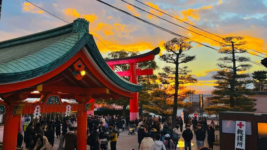 Kyoto and Nara: Private Customized Tour with Guide & vehicle - How much value do you get for $465?