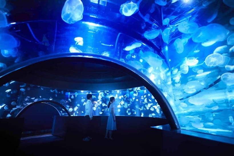 Kyoto Aquarium Admission Ticket - Key points at a glance