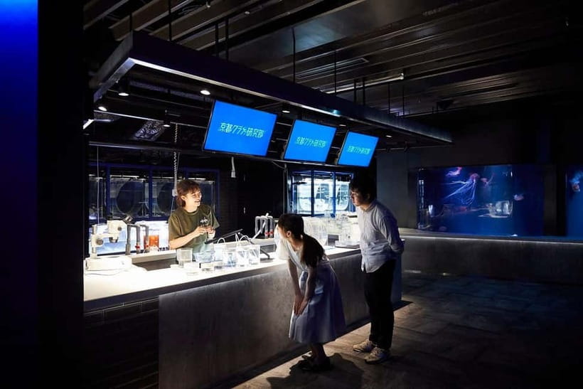 Kyoto Aquarium Admission Ticket - Jellyfish, seals, and the quieter side of the aquarium