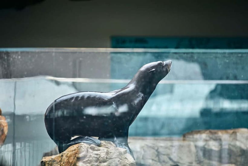 Kyoto Aquarium Admission Ticket - Satoyama shows Kyoto beyond the city