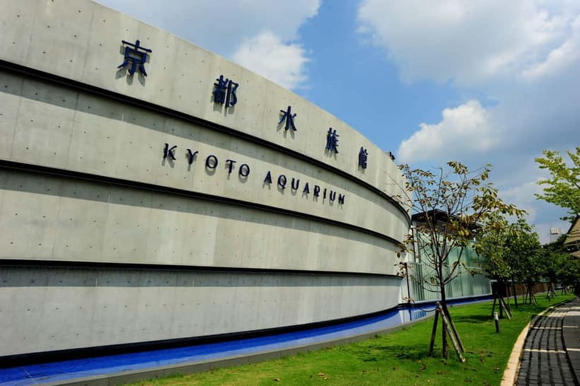 Kyoto Aquarium Admission Ticket - Talk with the breeding staff