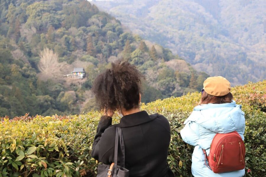 Kyoto Arashiyama Bamboo Forest Customized Private Tour - Otagi Nenbutsu-ji, Adashino, and Monkey Park