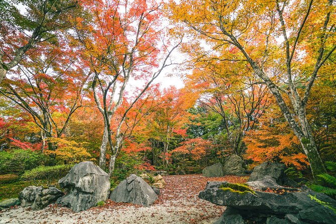 Kyoto Arashiyama Bamboo forest & Garden Half-Day Walking Tour - Tenryuji Temple and Zen garden lessons