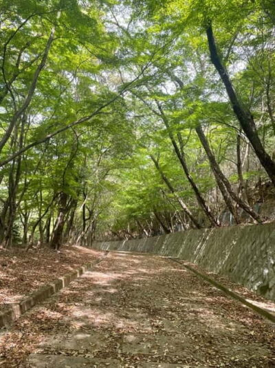 Arashiyama Bamboo Forest Hiking Tour