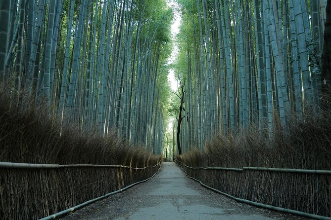 Kyoto Arashiyama Bamboo Forest Hiking Tour（Hidden Temples） - Key points to know before booking