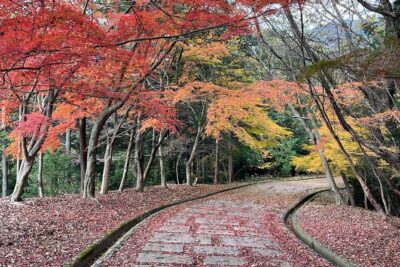 Kyoto Arashiyama Bamboo Forest Hiking Tour（Hidden Temples）