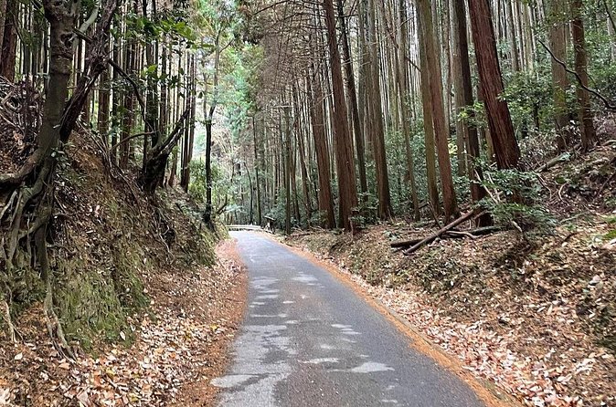 Kyoto Arashiyama Bamboo Forest Hiking Tour（Hidden Temples） - Adashino Nenbutsu-ji and its 8,000 statues