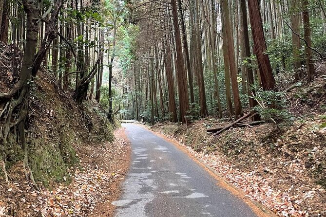 Kyoto Arashiyama Bamboo Forest Hiking Tour（Hidden Temples） - What the $52.71 price gives you
