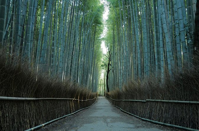 Kyoto Arashiyama Bamboo Forest Hiking Tour（Hidden Temples） - Who will enjoy this tour most