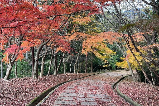 Kyoto Arashiyama Bamboo Forest Hiking Tour（Hidden Temples） - Walking through the bamboo forest