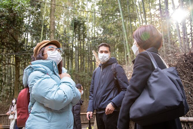 Kyoto Arashiyama Bamboo Forest & Scenery Customized Private Tour - Okochi Sanso Garden and the famous bamboo path