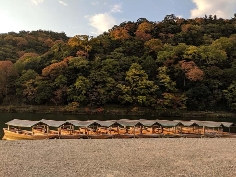 Kyoto: Arashiyama Bamboo Grove, Monkey Mountain Walking Tour - Meeting the monkeys on Monkey Mountain