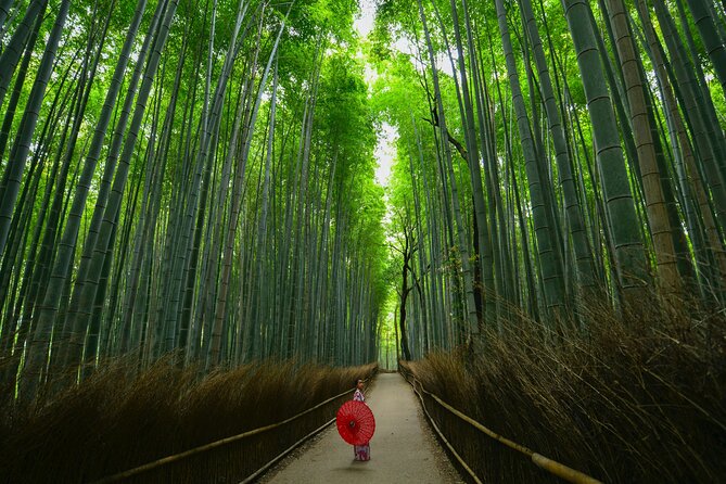 Kyoto: Arashiyama Bamboo, Temple, Matcha, Monkeys & secret spots - What the $89.54 price includes
