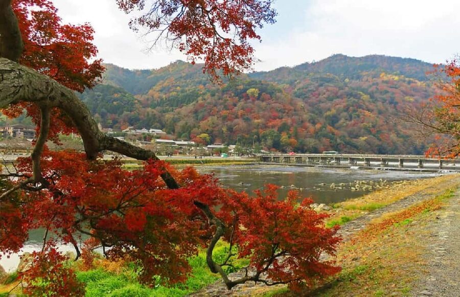 Kyoto: Arashiyama Bamboo, Togetsukyo bridge, Sanso, and more - Togetsukyo Bridge and the Arashiyama view