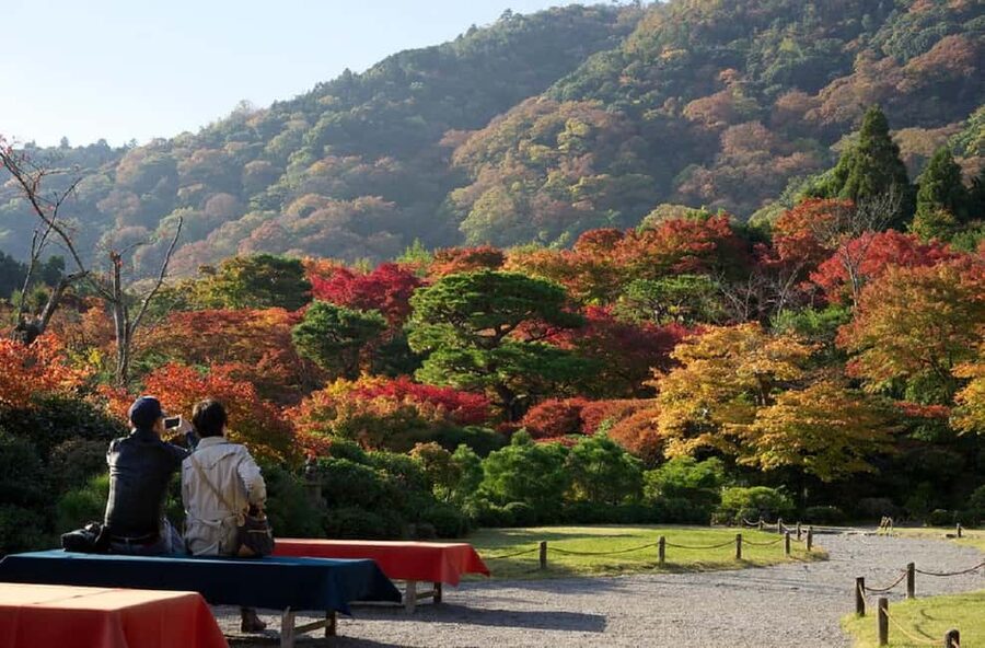 Kyoto: Arashiyama Bamboo, Togetsukyo bridge, Sanso, and more - Starting at Randen Arashiyama Station