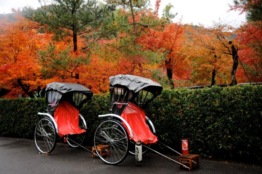 Kyoto: Arashiyama Customized Rickshaw Tour & Bamboo Forest - Rakushisya and the longer routes