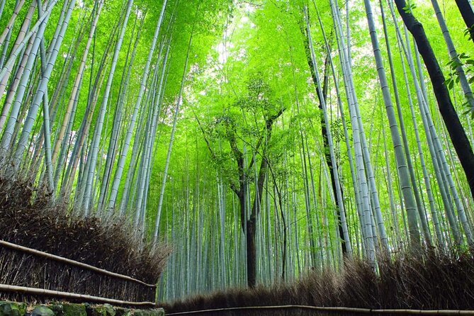 Kyoto: Arashiyama Early Access Bamboo & Temple Tour - Timing, meeting point, and what to bring