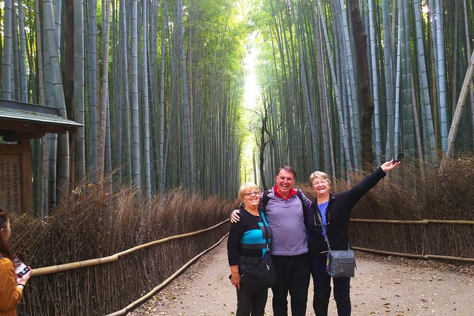 Kyoto Arashiyama & Golden Pavilion One-Day Walking Tour - Tenryu-ji Temple and its famous garden