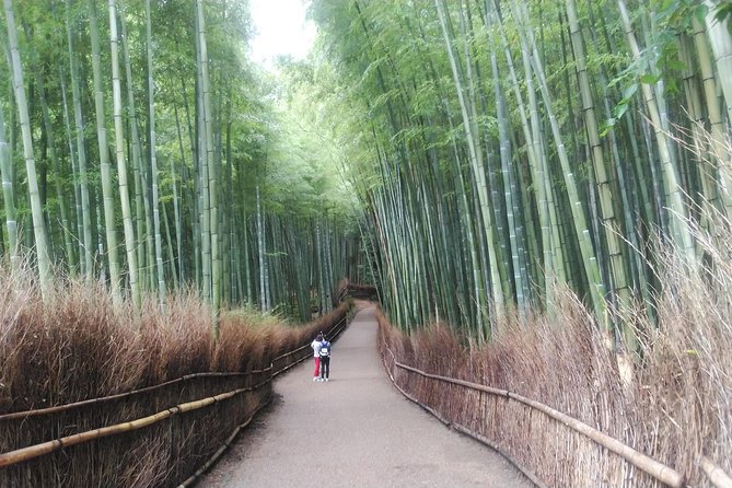 Kyoto Arashiyama & Golden Pavilion One-Day Walking Tour - The guide makes the difference