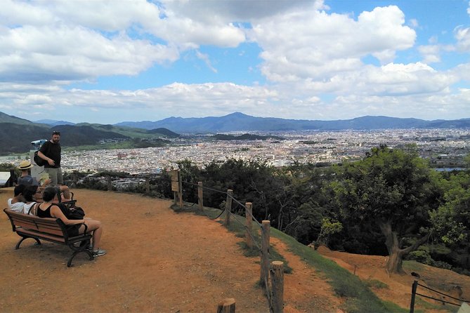 Kyoto Arashiyama & Golden Pavilion One-Day Walking Tour - Monkey Park Iwatayama and the first uphill test