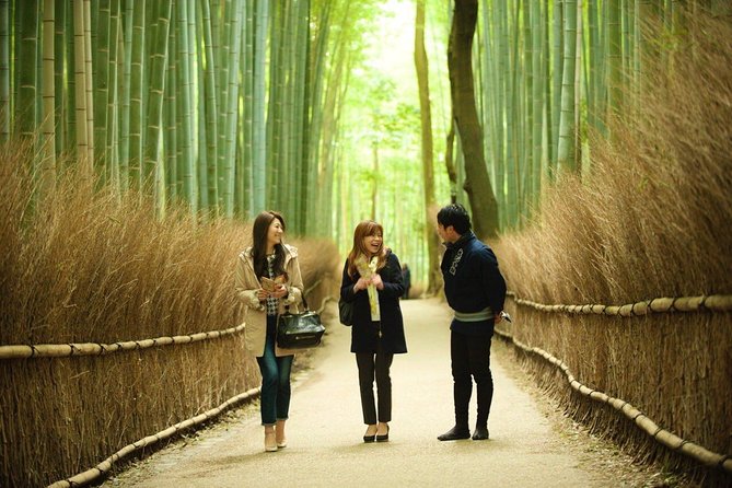 Kyoto Arashiyama Rickshaw Tour with Bamboo Forest - Why the rickshaw changes your Arashiyama visit