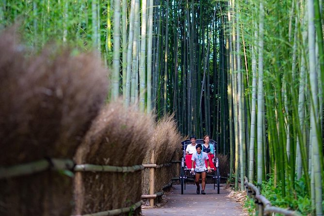 Kyoto Arashiyama Rickshaw Tour with Bamboo Forest - The famous grove requires a walk
