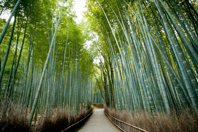 Kyoto Arashiyama Rickshaw Tour with Bamboo Forest - Starting at the rickshaw stand near Tenryuji