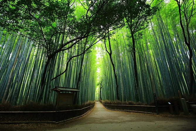 Kyoto Arashiyama & Sagano Bamboo Private Tour with Government-Licensed Guide - Bamboo Forest Street, beautiful but busy