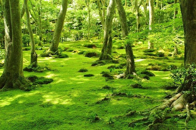 Kyoto Arashiyama & Sagano Bamboo Private Tour with Government-Licensed Guide - Adashino and Otagi Nenbutsu-ji
