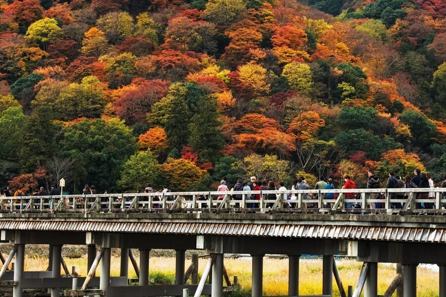 Kyoto: Arashiyama Tour with optional Sagano Romantic Train - Choosing the Sagano Romantic Train