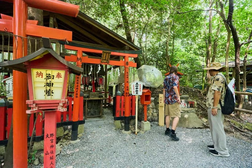 Kyoto: Arashiyama UNESCO Walking Tour with Admission - Walking through Sagano Bamboo Grove
