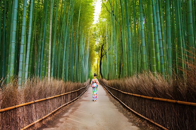 Kyoto Arashiyama Walking Tour: Bamboo, Monkeys, Gardens & Secrets - Meeting in Arashiyama and finding the right station