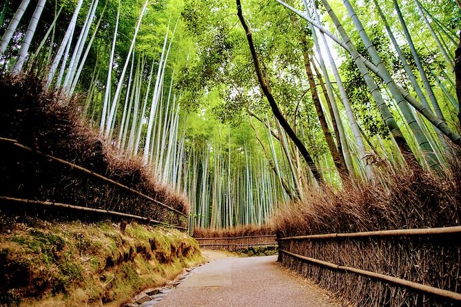Kyoto Arashiyama Walking Tour: Bamboo, Monkeys, Gardens & Secrets - The Bamboo Forest is beautiful, but timing matters