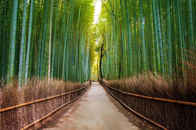 Kyoto Arashiyama Walking Tour: Bamboo, Monkeys, Gardens & Secrets - Tenryu-ji brings temple design into the day