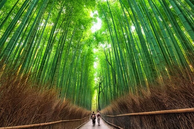 Kyoto: Arashiyama Walking Tour – UNESCO World Heritage - Why This Arashiyama Walk Works