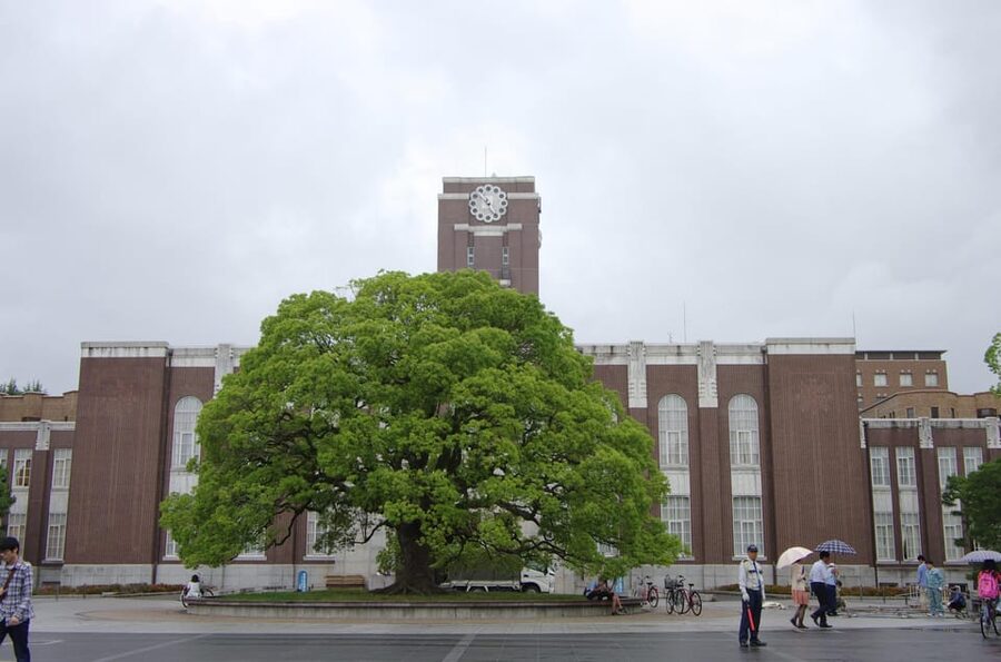 Kyoto: Authentic Biking Half Day Experience - Finishing at the Kyoto Imperial Palace
