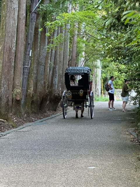Kyoto: Avoid the Crowds at the Hidden Gems of Arashiyama - Key points to know before booking