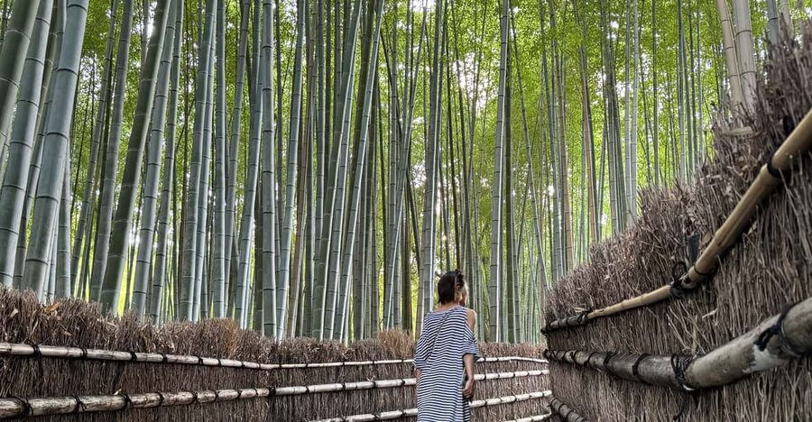 Kyoto: Avoid the Crowds at the Hidden Gems of Arashiyama - Why this Arashiyama walk feels different