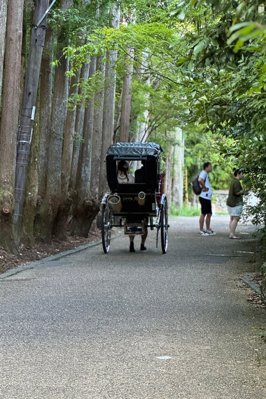 Kyoto: Avoid the Crowds at the Hidden Gems of Arashiyama - Togetsu Bridge and Arashiyama Park views