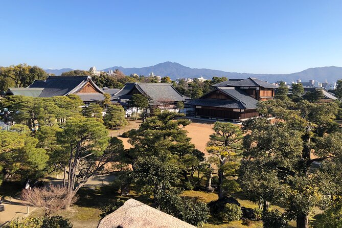 Kyoto Bamboo Forest & Golden Pavilion E-Bike Tour - Arashiyama Bamboo Forest and the crowds