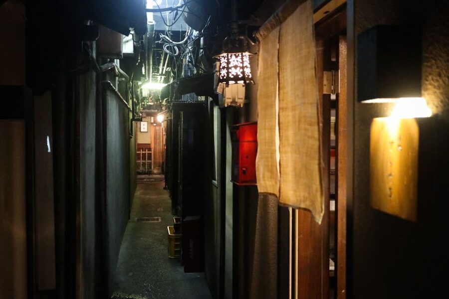 Kyoto : Bar Hopping Tour in Pontocho Alley at Night - Who will enjoy this bar crawl most
