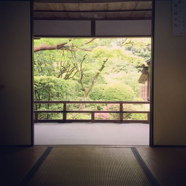 Kyoto: City Secrets eBike Tour - The Golden Pavilion: famous for good reason