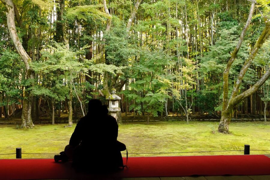 Kyoto: City Secrets eBike Tour - Old geisha streets and Kyoto’s shrine of knowledge